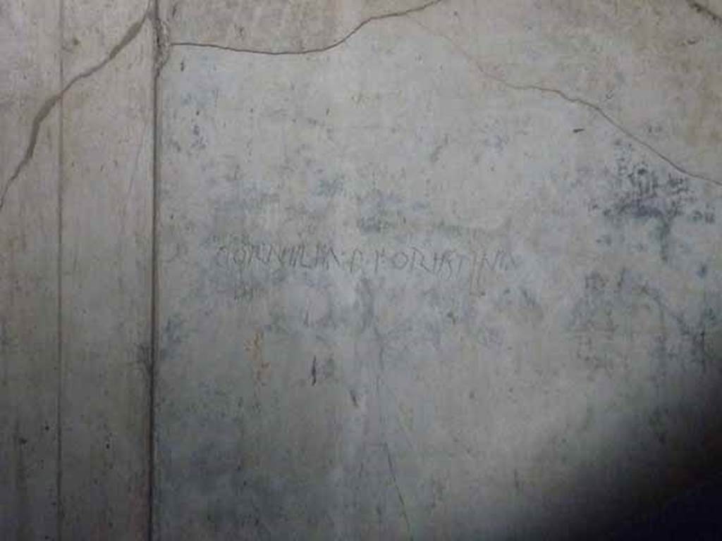 VI.9.3 Pompeii. October 2010. West wall of cubiculum 3, on south side of entrance doorway decorated in the first style. Latin inscription CORNIILIA P F ORIISTINA on first style decoration. Photo courtesy of Gabriele Groe.