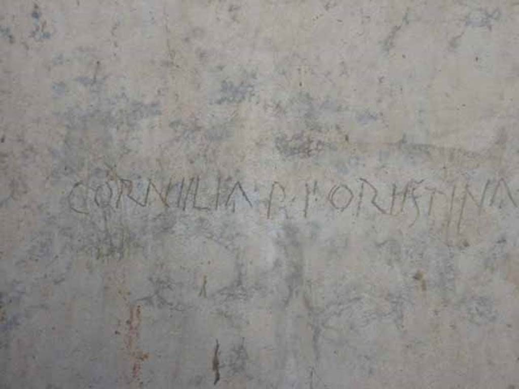VI.9.3 Pompeii. October 2010. West wall of cubiculum 3,  on south side of entrance doorway decorated in the first style. Photo courtesy of Gabriele Groe.

Detail of Latin inscription CORNIILIA P F ORIISTINA.
According to Epigraphik-Datenbank Clauss/Slaby, the inscription reads as -

Cornelia  P(ubli)  f(ilia)  Orestina     [CIL IV 6812]

See www.manfredclauss.de. 
See also Della Corte, M., 1965.  Case ed Abitanti di Pompei. Napoli: Fausto Fiorentino. (p.48-50)

Livia Orestilla or Cornelia Orestina was a Roman Empress as the second wife of the Emperor Caligula in AD 37 or AD 38 . 
She was originally married to Gaius Calpurnius Piso (who was involved in a conspiracy overthrow the Emperor Nero in AD 65), who was persuaded or forced to annul the marriage so that Caligula could marry her. 
According to both Dio and Suetonius, this occurred during the wedding celebrations. 

According to Suetonius, at the marriage of Livia Orestilla to Gaius Piso, Caligula attended the ceremony himself, gave orders that the bride be taken to his own house, and within a few days divorced her; two years later he banished her, because of a suspicion that in the meantime she had gone back to her former husband. Suetonius continues that others write that being invited to the wedding banquet, Caligula sent word to Piso, who reclined opposite to him: "Don't take liberties with my wife," and at once carried her off with him from the table, the next day issuing a proclamation that he had got himself a wife in the manner of Romulus and Augustus, who had both stolen wives from other men. 
See Suetonius, The Lives of the Caesars, (p. 443) The Life of Caligula at http://penelope.uchicago.edu/Thayer/E/Roman/Texts/Suetonius/12Caesars/Caligula*.html.

According to Cassius Dio, Caligula married Cornelia Orestina, whom he had actually seized during the marriage festival which she was celebrating with her betrothed, Gaius Calpurnius Piso. Before two months had elapsed he banished them both, claiming that they were maintaining illicit relation with each other. 8 He permitted Piso to take with him ten slaves, and then, when he asked for more, allowed him to employ as many as he liked, merely remarking, "You will have just so many soldiers, too, with you." See Cassius Dio, Roman History, Book LIX (p. 287) at http://penelope.uchicago.edu/Thayer/E/Roman/Texts/Cassius_Dio/59*.html.
