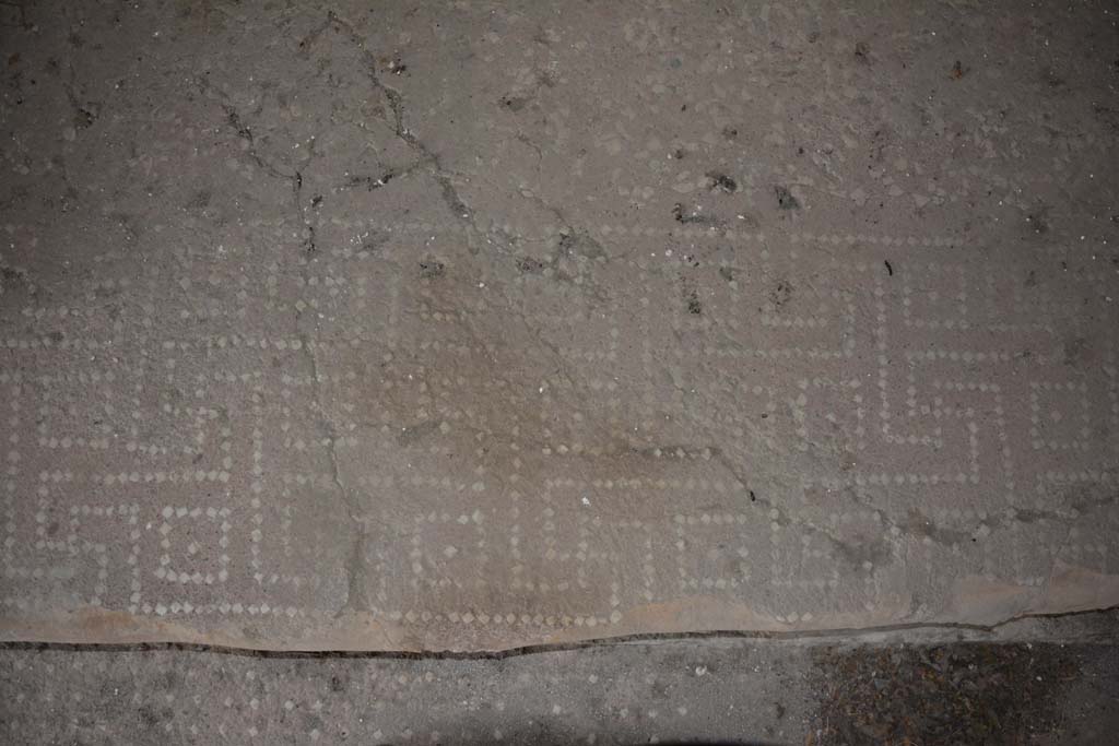 VI.9.3/5 Pompeii. September 2019. Alcove in cubiculum 3, detail of floor decoration on step between alcove and cubiculum.
Foto Annette Haug, ERC Grant 681269 DCOR.
