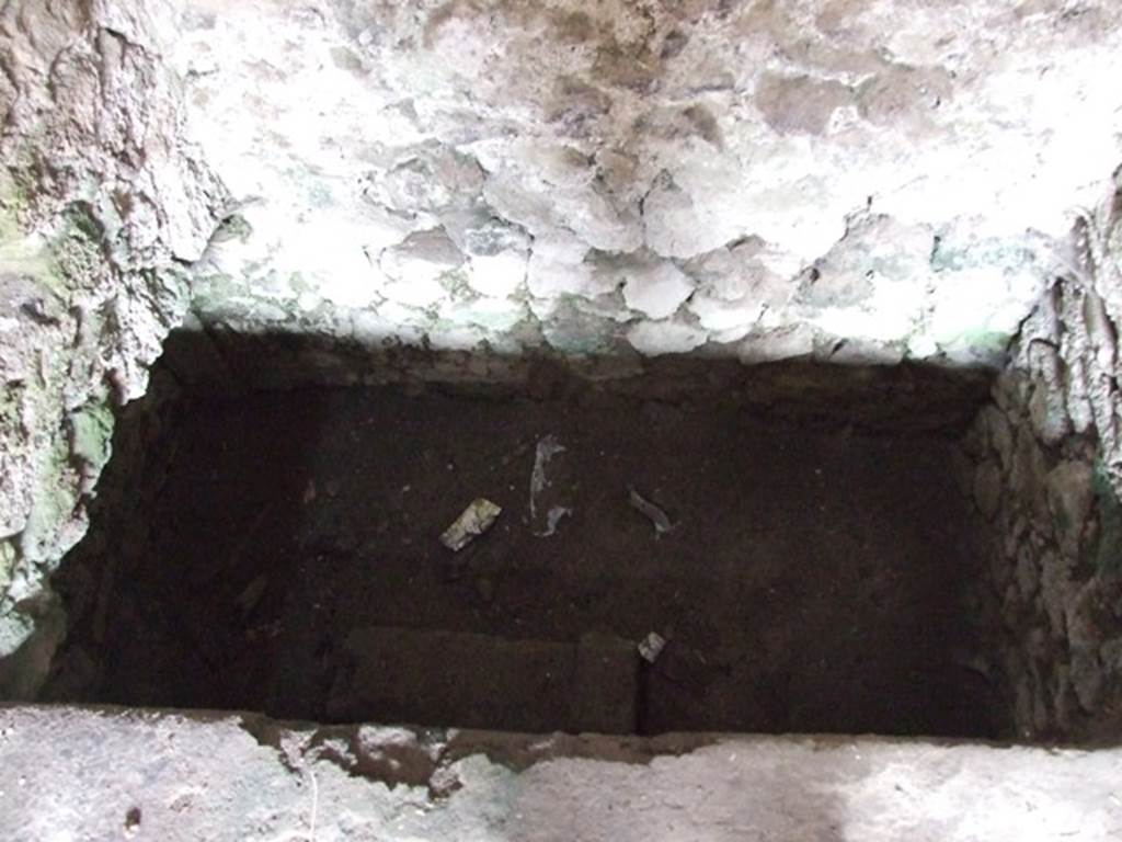 VI.9.6 Pompeii. March 2009. Room 18, large latrine on east wall of kitchen and latrine.