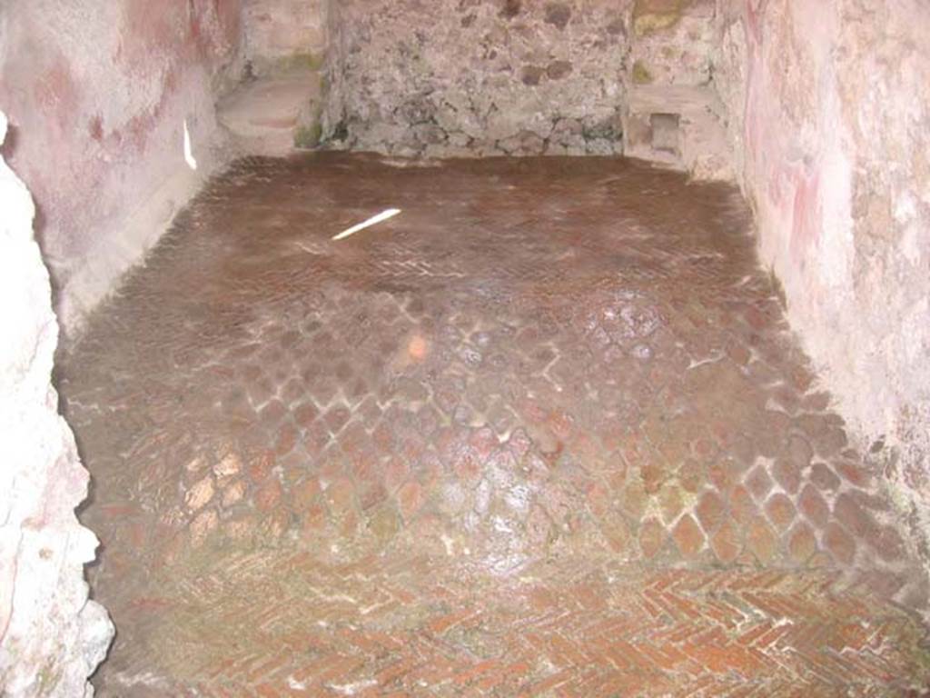 VI.9.6 Pompeii. July 2008. Room 18, floor of latrine. Photo courtesy of Barry Hobson.