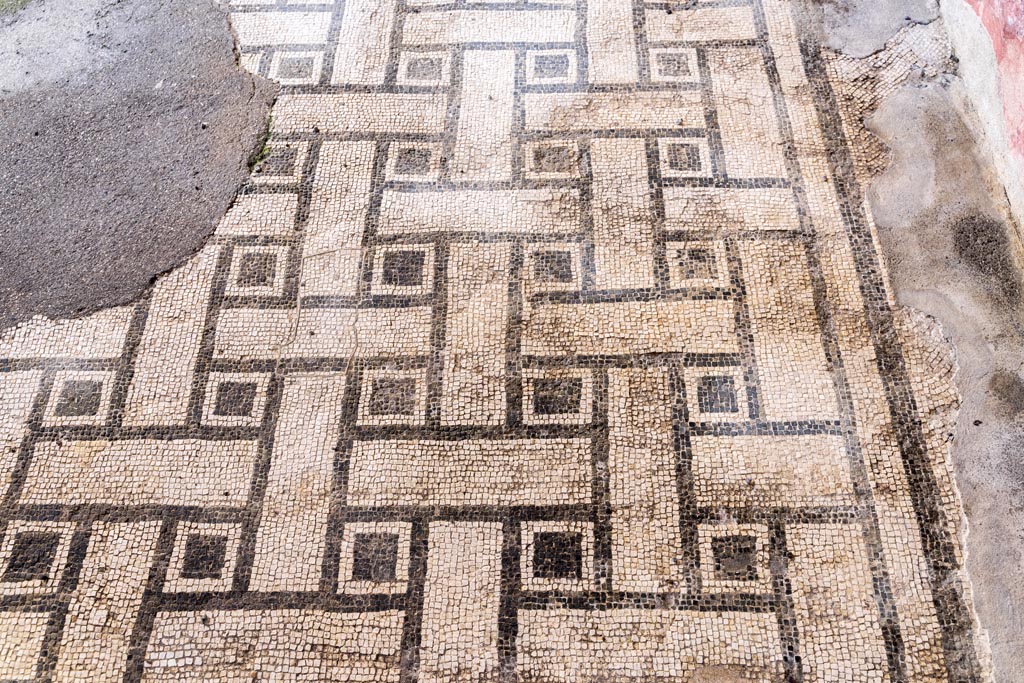 VI.9.6 Pompeii. January 2023. Room 6, mosaic flooring at east end of peristyle. Photo courtesy of Johannes Eber.