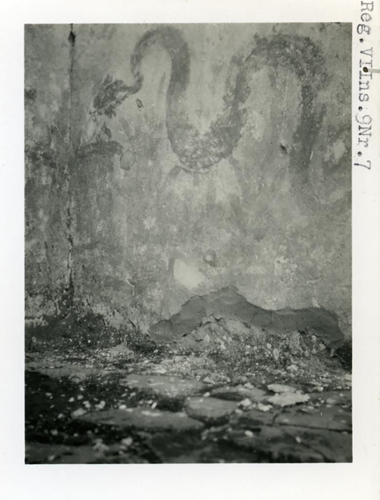 VI.9.7 Pompeii. Room 4, north-west corner of kitchen, remains of lararium painting of serpent on north wall.
Photo courtesy of American Academy in Rome, Photographic Archive. Warsher collection no. 1587.
