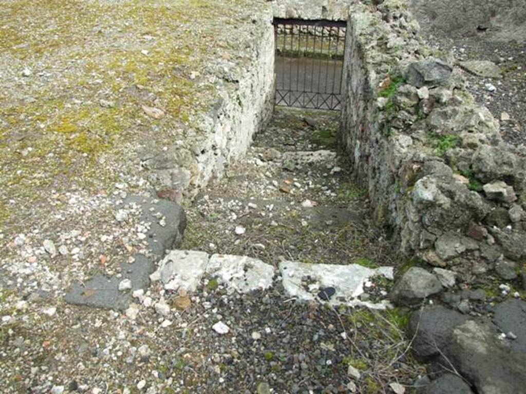 VI.10.6 Pompeii. March 2009. Room 15, rear garden area with staircase, leading to rear entrance at VI.10.17. According to Jashemski, these steps lead to the posticum at VI.10.17, and the cellar area. She thought that the oil press found in the atrium was probably to be installed in the cellar area.
