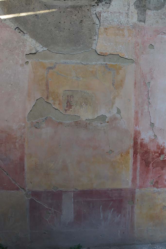 VI.11.10 Pompeii. October 2017. Room 29, central panel on north wall.
Foto Annette Haug, ERC Grant 681269 DCOR


