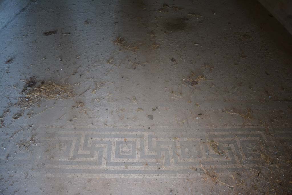 VI.11.10 Pompeii. December 2017. Room 39, detail of meander pattern in mosaic flooring.
Foto Annette Haug, ERC Grant 681269 DÉCOR
