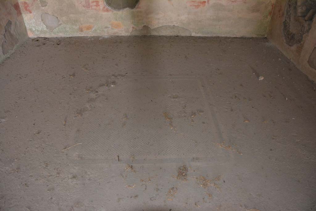 VI.11.10 Pompeii. October 2017. Room 39, central emblema in flooring at north end of room.
Foto Annette Haug, ERC Grant 681269 DÉCOR

