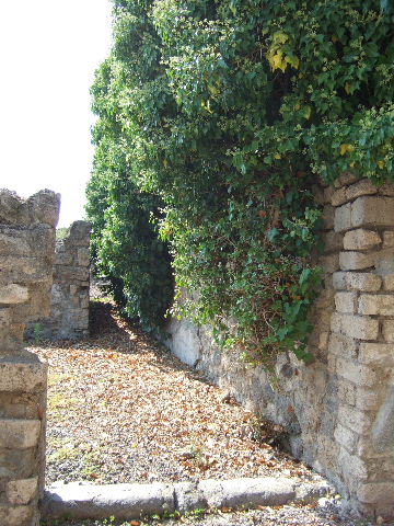 VI.11.15 Pompeii. September 2005. Stairs to upper floor in south-east corner of atrium, south of entrance doorway.