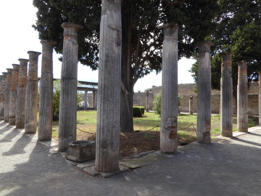 VI.12.2 Pompeii. January 2017. Looking south-west across rear peristyle from north-east corner. 
Foto Annette Haug, ERC Grant 681269 DÉCOR.

