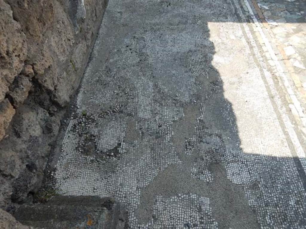 VI.12.2 Pompeii. May 2015. Mosaic border to floor in tablinum. Photo courtesy of Buzz Ferebee.