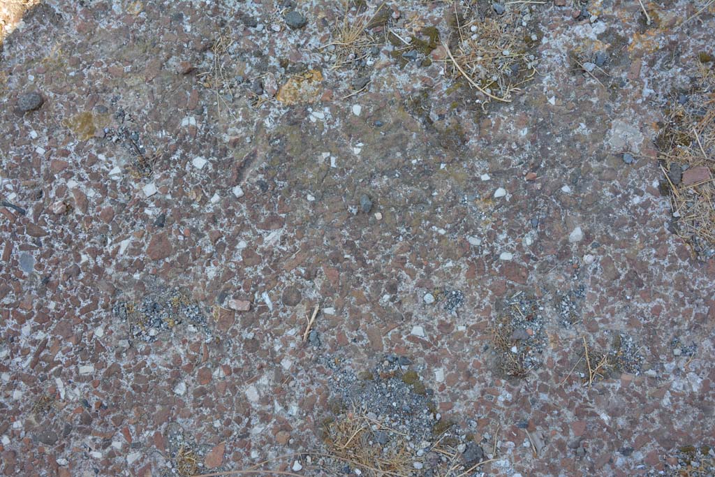 VI.12.5 Pompeii. 14th July 2017. Detail of flooring from Secondary Atrium 7. 
Foto Annette Haug, ERC Grant 681269 DÉCOR.
