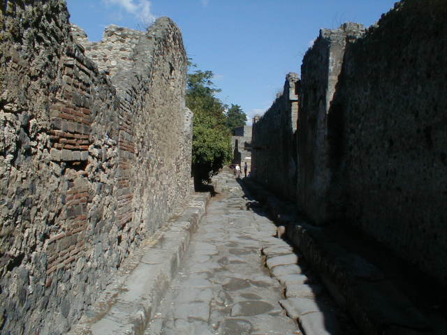 VI.14.35 Pompeii. December 2007. Rear entrance doorway on Vicolo di Mercurio.  According to Della Corte, this caupona was kept by a certain Salvius, as proved by the electoral recommendation on the wall between the two entrances - Salvius rog(at)   [CIL IV 3493 with note 1].
See Della Corte, M., 1965.  Case ed Abitanti di Pompei. Napoli: Fausto Fiorentino. (p.81-3)
According to Epigraphik-Datenbank Clauss/Slaby (See www.manfredclauss.de), it read –
Casellium aed(ilem) Salvius rog(at)      [CIL IV 3493]


