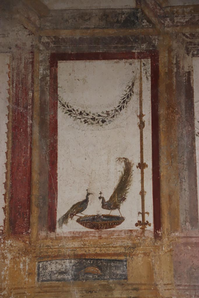 VI.15.1 Pompeii. October 2023. 
Detail of painted peacocks from upper west wall at south end. Photo courtesy of Klaus Heese.
