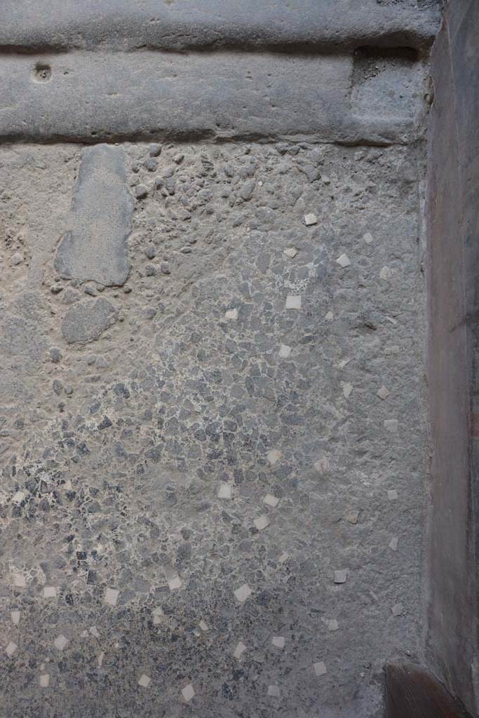 VI.15.1 Pompeii. July 2017. Detail of flooring on south side of vestibule.
Foto Annette Haug, ERC Grant 681269 DÉCOR.
