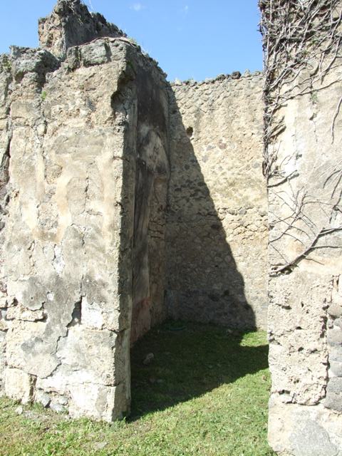 VI.15.5 Pompeii.  March 2009.  Room 7.  Tablinum, South wall, looking west.