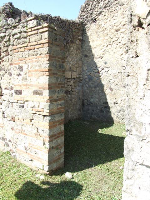 VI.15.5 Pompeii.  March 2009.   Room 7. Coloured mosaic floor, detail starting from the south (left) side.