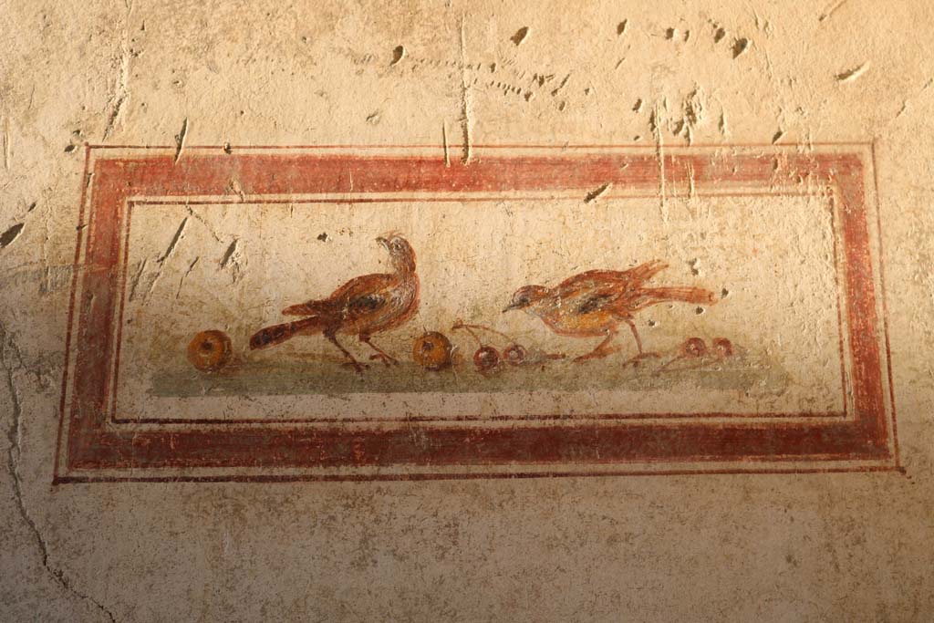 VI.15.8 Pompeii. December 2018. North wall of the portico, painted panel showing birds with fruit. Photo courtesy of Aude Durand.