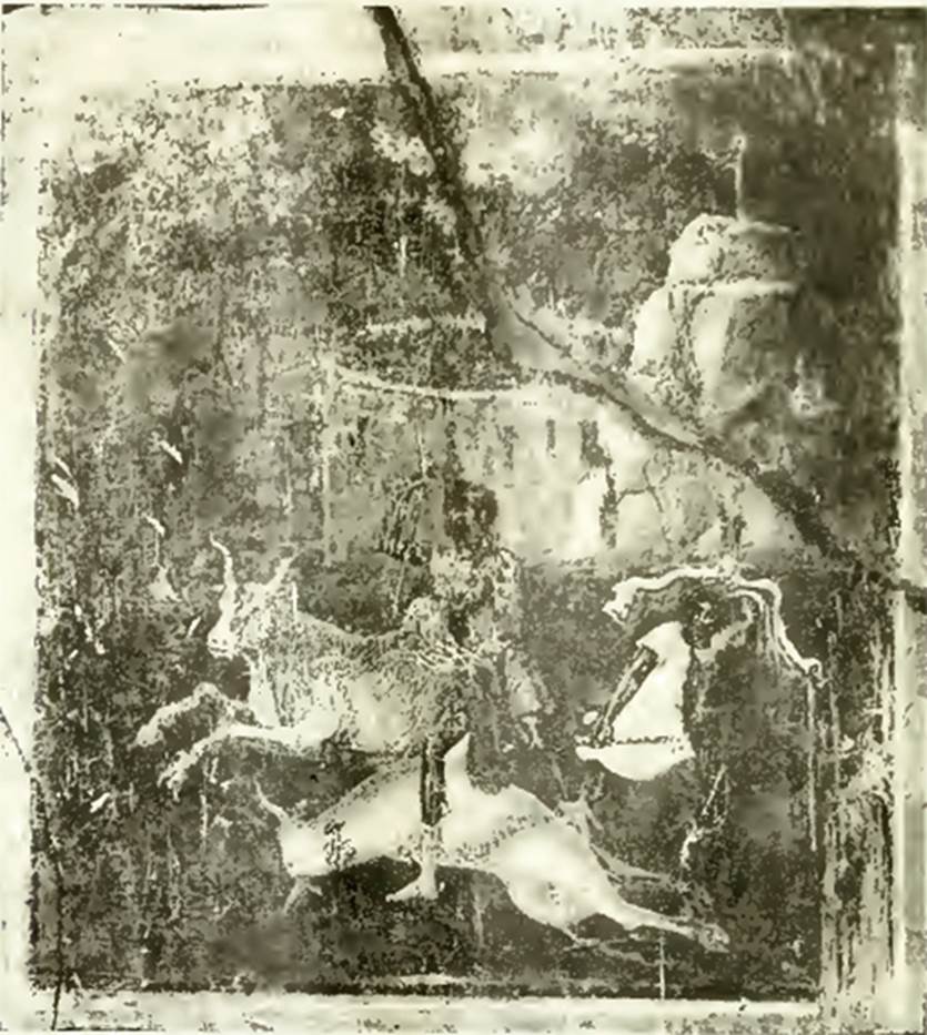 VI.16.28 Pompeii. 1908. Room F, north wall, painting of the Hunt of the Bulls. See Notizie degli Scavi di Antichit, 1908, p. 274, fig. 2. According to NdS, the central painting on the north wall was the same size as that on the eastern wall. The painting was better preserved and here one could see a bull galloping to the left with elevated front legs. A man with brown complexion and short tunic was trying to hit him with a spear, which he held in his right hand. Beneath the legs of the man was the body of another bull. Somewhat more to the right of the picture, another man was watching the group. See Notizie degli Scavi di Antichit, 1908, (p.273-4).