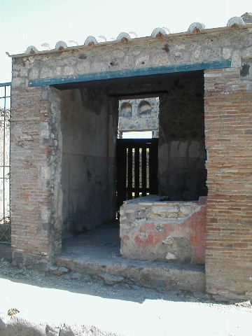 VI.16.33 Pompeii. December 2007. Decorative floor at the rear of the counter. The floor was of Opus Signinum.
