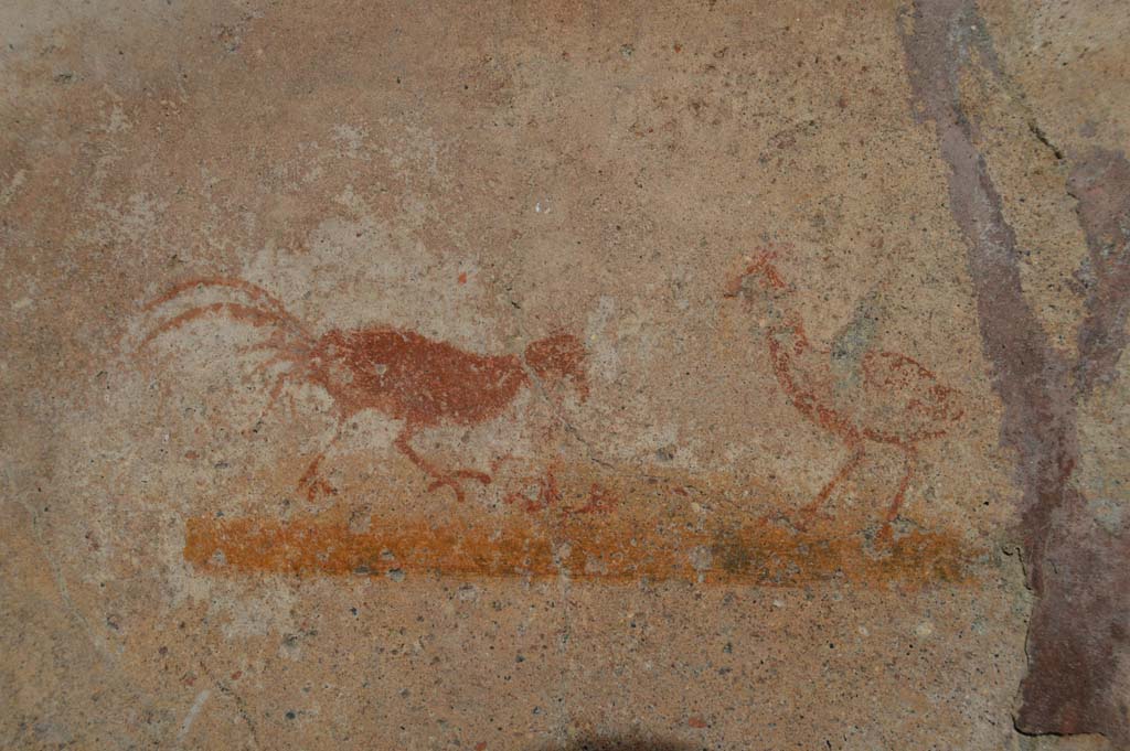 VI.16.33 Pompeii. March 2018. Painting of two birds from east wall of bar-room.
Foto Taylor Lauritsen, ERC Grant 681269 DÉCOR.

