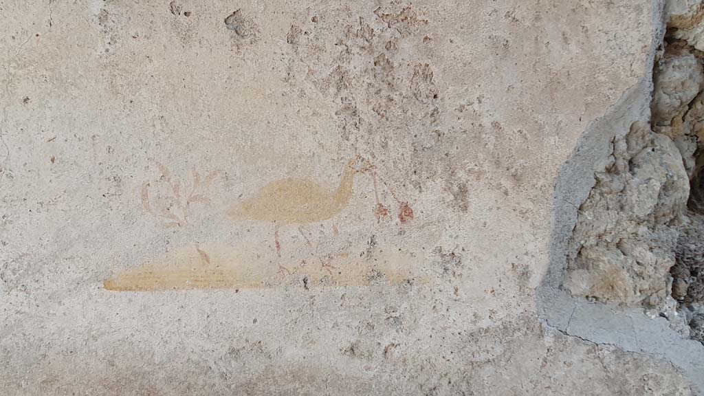 VI.16.33 Pompeii. July 2021. Detail of a second painted bird on centre of north wall of bar-room.
Foto Annette Haug, ERC Grant 681269 DÉCOR.
