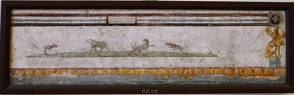 Pompeii Insula Occidentalis, or Villa of Cicero ??. Fragments framed in the same frame.
Now in Naples Archaeological Museum. Inventory number 9926.
Tigre con rami e frutti in campo nero. Tiger with branches and fruits on black background.
Vaso coricato in campo nero. Vase on black background.
Due pigne, rami e fiori in campo nero. Two pine cones, branches and flowers on black background.

