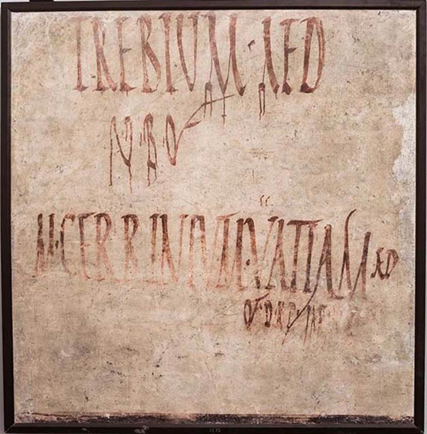 VI.17.8 Pompeii. Electoral inscriptions for CIL IV 123 and 124.
Now in Naples Archaeological Museum. Inventory number 4673.

Trebium aed(ilem)
v(irum) b(onum) o(ro) v(os) f(aciatis)      [CIL IV 123]

M(arcum) Cerrinium Vatiam aed(ilem)
o(ro) v(os) f(aciatis) d(ignum) r(ei) p(ublicae) Iarinus [3]      [CIL IV 124]

See Pagano, M. and Prisciandaro, R., 2006. Studio sulle provenienze degli oggetti rinvenuti negli scavi borbonici del regno di Napoli. Naples: Nicola Longobardi. 
(p.48)  PAH I, 1, 162
