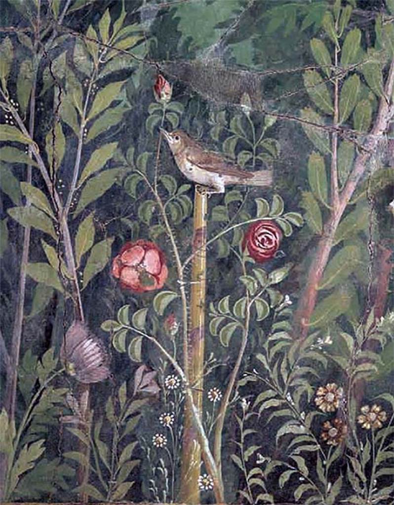 VI.17.42 Pompeii. Oecus 32. Detail of reed warbler from garden fresco from south wall. 
Inventory number 40692.
