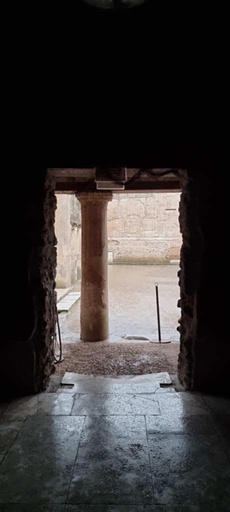 VII.1.8 Pompeii. December 2023.
Looking west through doorway to Portico B. Photo courtesy of Miriam Colomer.

