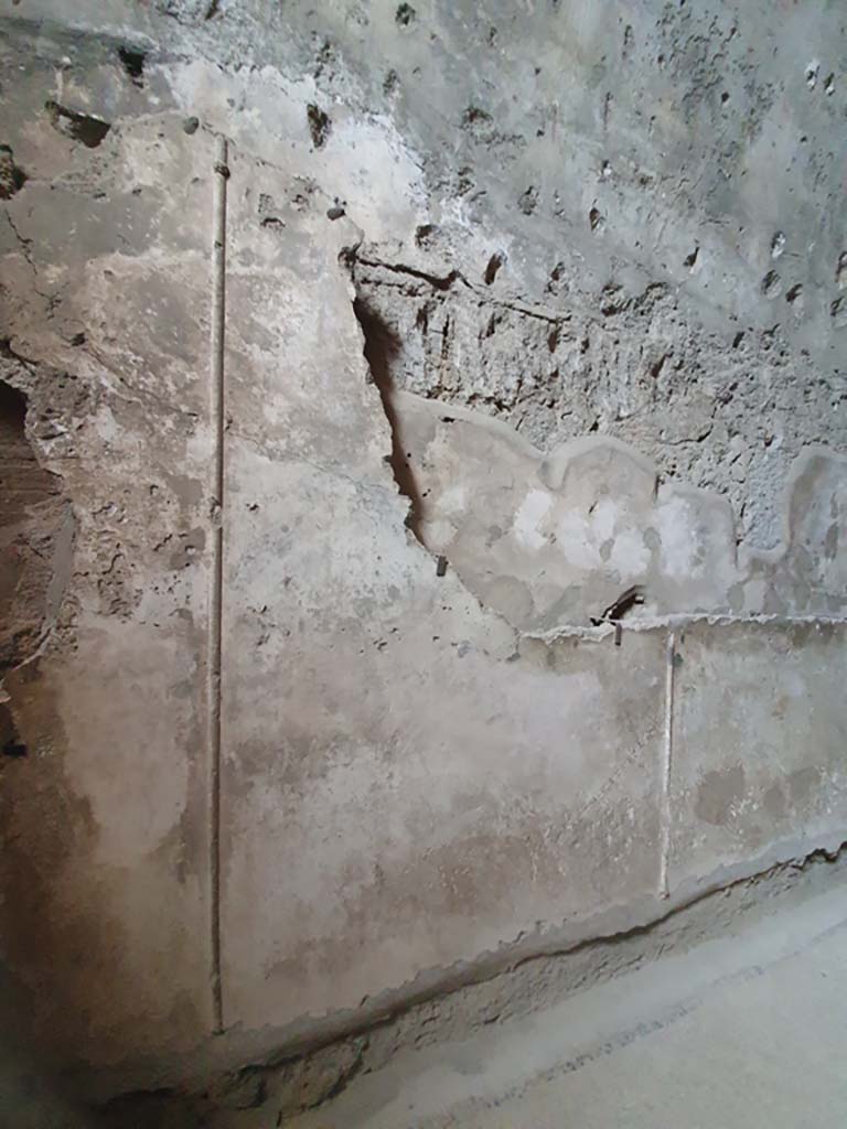 VII.1.8 Pompeii. July 2021. Tepidarium 10, detail from upper north wall.   
Foto Annette Haug, ERC Grant 681269 DCOR

