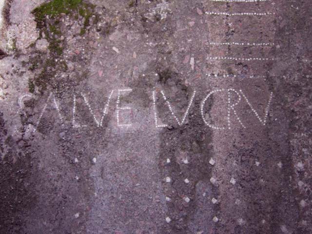 VII.1.47 Pompeii. December 2005. Entrance corridor 1, mosaic with words SALVE LVCRV.
Salve Lucru     [CIL X 874]
Hail, profit      
See Cooley, A. and M.G.L., 2004. Pompeii: A Sourcebook. London: Routledge. (p.168)

