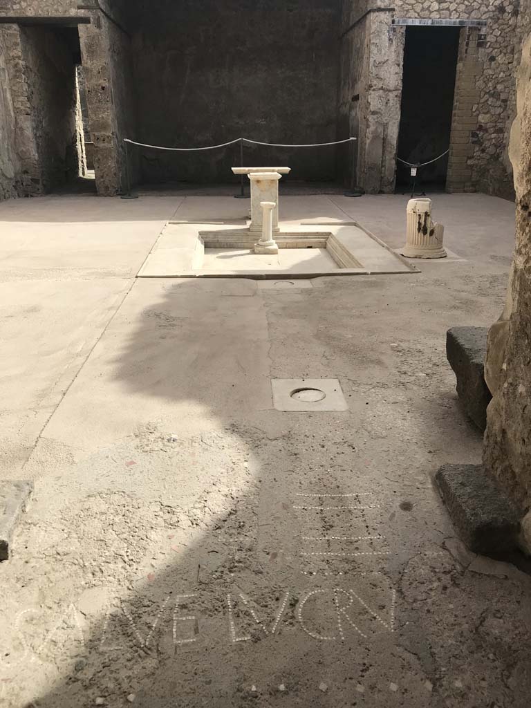 VII.1.47 Pompeii. May 2017. Detail in flooring in entrance corridor/fauces 1. 
Photo courtesy of Buzz Ferebee.
