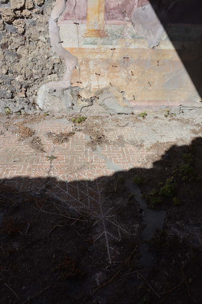 VII.2.16 Pompeii. October 2019. Oecus 10, looking north across flooring.
Foto Annette Haug, ERC Grant 681269 DCOR.


