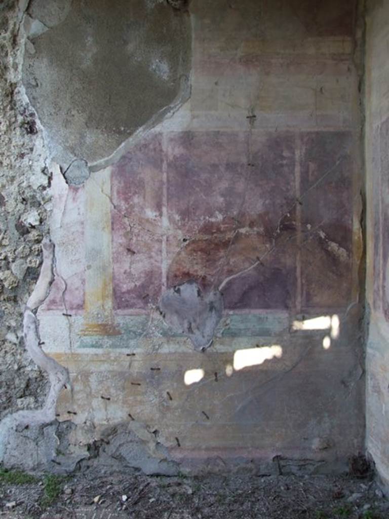 VII.2.16 Pompeii.  March 2009. Room 10. Oecus.  North wall.