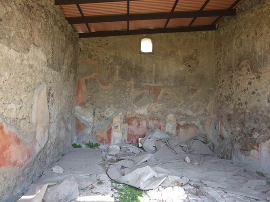 VII.2.16 Pompeii.  March 2009.  Room 3. Oecus. North wall.