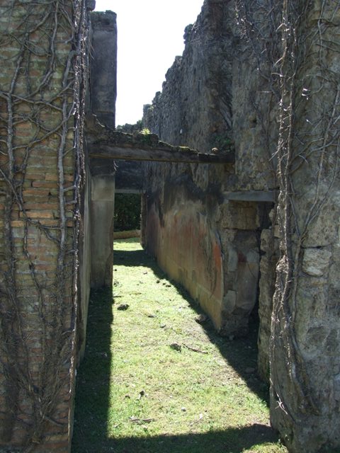 VII.2.20 Pompeii.  March 2009.  Room 9.  West wall of Corridor.  Looking south.