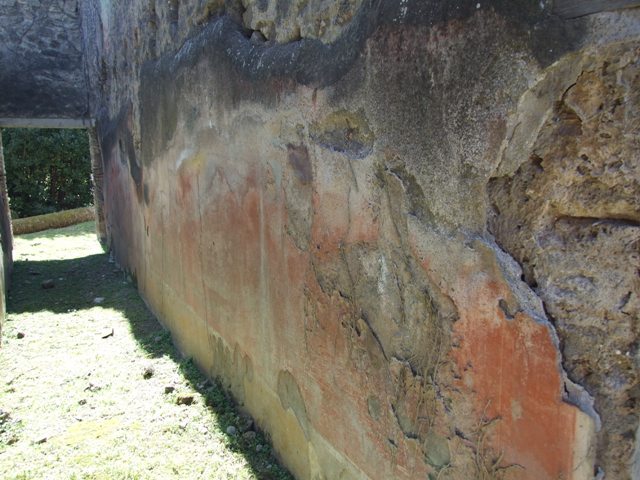 VII.2.20 Pompeii.  March 2009.  Room 9.  East wall of Corridor.  Looking south.
