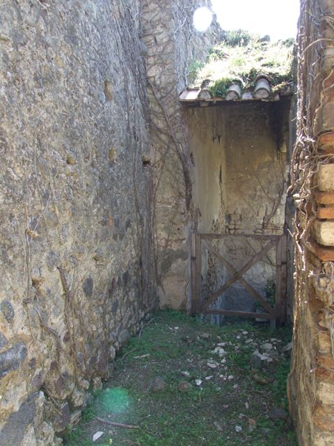 VII.2.20 Pompeii. December 2004. East side of Peristyle. Photo taken from VII.2.23 