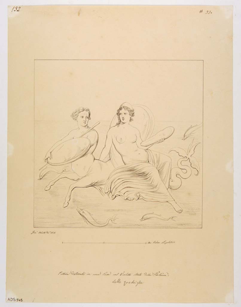 VII.2.25 Pompeii. Drawing by Giuseppe Abbate, 1846, of the painting of Thetis riding on a marine centaur with the arms of Achilles.
Found on the west wall of triclinium on a red background. 
Originally the excavators described this painting as Venus with the arms of Mars.
Now in Naples Archaeological Museum. Inventory number ADS 545.
Photo © ICCD. http://www.catalogo.beniculturali.it
Utilizzabili alle condizioni della licenza Attribuzione - Non commerciale - Condividi allo stesso modo 2.5 Italia (CC BY-NC-SA 2.5 IT)
