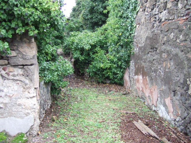 VII.4.29 Pompeii.  March 2009.  Large Triclinium on north side of Shop.