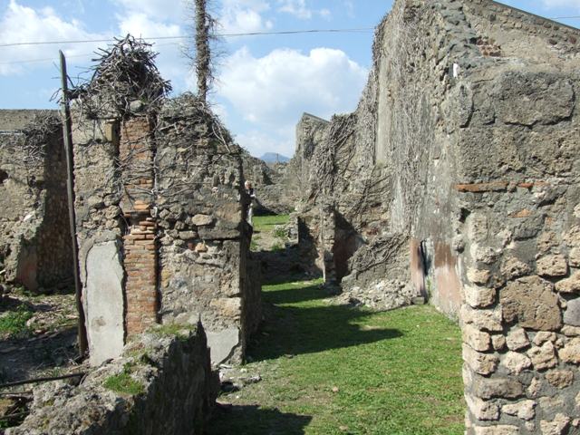 VII.4.29 Pompeii.  March 2009. Cubiculum on south west side.