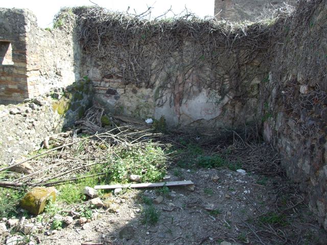 VII.4.29 Pompeii.  March 2009.Room on west side of small courtyard or garden.  The remains of the pink plaster may be the west wall of the courtyard garden. See Jashemski, W. F., 1993. The Gardens of Pompeii, Volume II: Appendices. New York: Caratzas. (p.178-9).  See Pappalardo, U., 2001. La Descrizione di Pompei per Giuseppe Fiorelli (1875). Napoli: Massa Editore. (p.90).