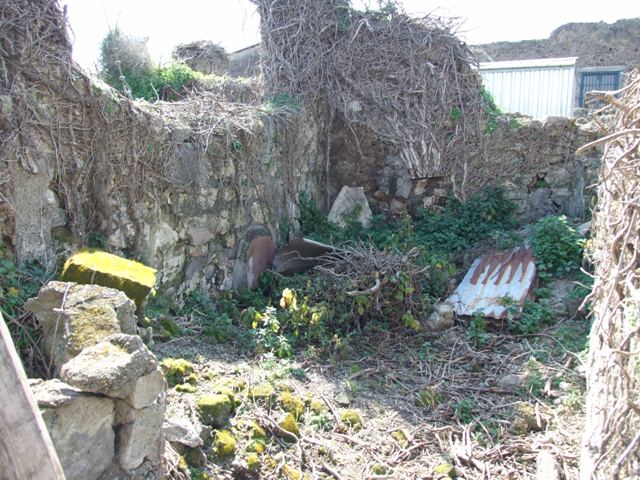 VII.4.29 Pompeii.  March 2009. Remains of painted plaster in room on north west side of small courtyard or garden.
