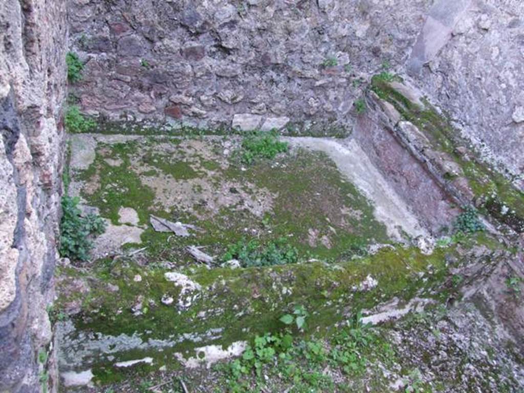 VII.4.31 Pompeii.  March 2009.  Room 43.  Large plaster lined basin or vat, dug into the floor, on the south side of the room. 
