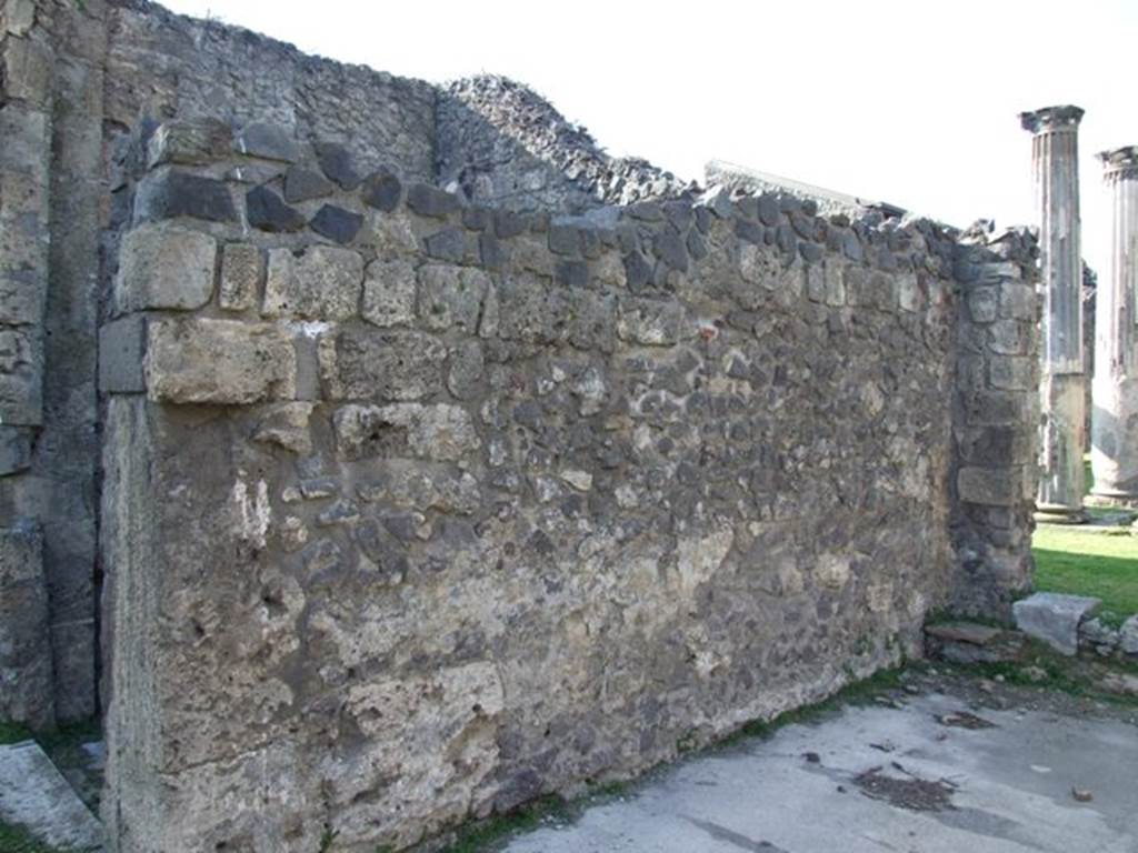 VII.4.31 Pompeii.  March 2009.  Room 10. Tablinum.  West wall.  Looking north.