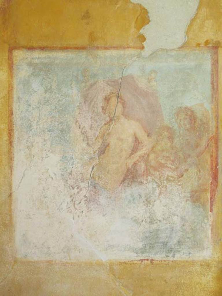 VII.4.31/51 Pompeii. May 2012. Room 12, south wall of oecus. Remains of a wall painting of Venus on a sea creature, with two cupids unfolding her mantle as a sail. Venus is leaning on the shoulder of another figure, followed by another cupid playing the pipes. Photo courtesy of Marina Fuxa.

