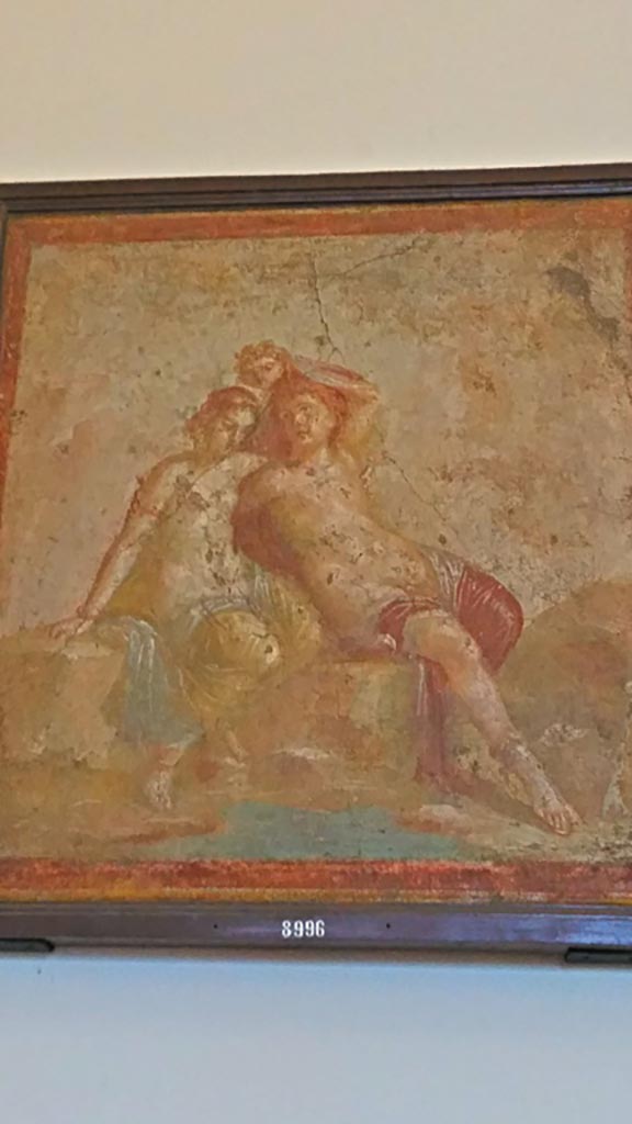 VII.4.31/51 Pompeii. Room 12, wall painting found  on west wall of oecus.
According to information card in Museum –
“Perseus and Andromeda are seated in amorous abandon despite the fact that the young man holds up (in such a way as to not meet its deathly gaze) the severed head of the Gorgon.”
Now in Naples Archaeological Museum, inv. no. 8996. Photo courtesy of Giuseppe Ciaramella, November 2018.

