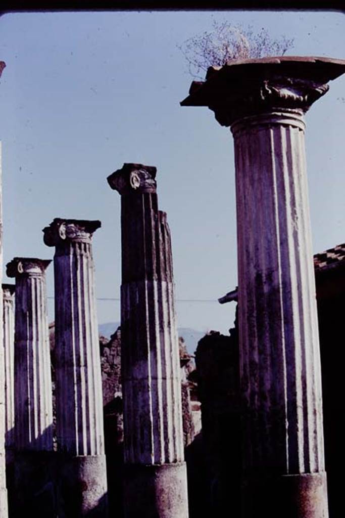 VII.4.31/51 Pompeii, 1978. Columns in the middle peristyle. Photo by Stanley A. Jashemski.   
Source: The Wilhelmina and Stanley A. Jashemski archive in the University of Maryland Library, Special Collections (See collection page) and made available under the Creative Commons Attribution-Non Commercial License v.4. See Licence and use details. J78f0085
