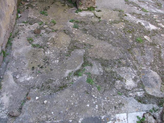 VII.4.31 Pompeii.  March 2009.  Room 18. Exedra. West wall.