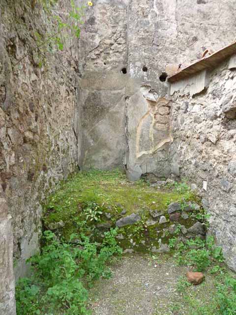 VII.4.42 Pompeii. May 2010. North wall.